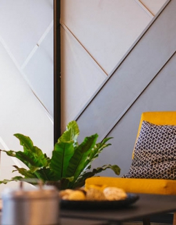 Ut at magna leo. Suspendisse egestas est ac dolor