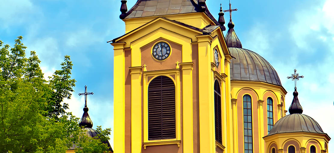 Nunc sed ligula sed augue rutrum ultrices eget