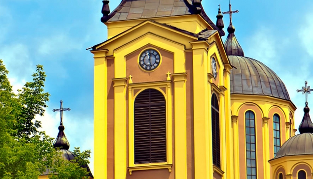 Nunc sed ligula sed augue rutrum ultrices eget