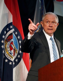 Luctus Proin suscipit orci placerat fringilla Donec.