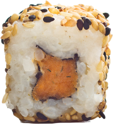 oshi sushi